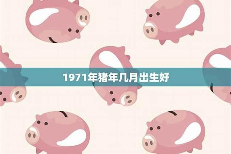 1971年11月出生的猪是什么命格