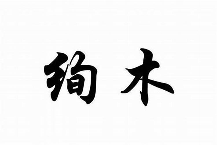 公司名称带木字旁