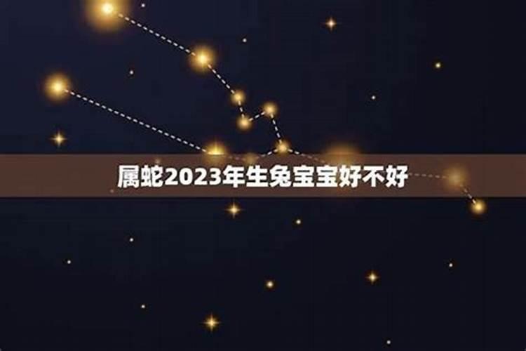 2023年感情甜蜜的生肖女