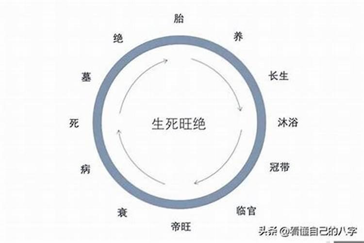 养胎绝墓死病衰帝旺是什么意思