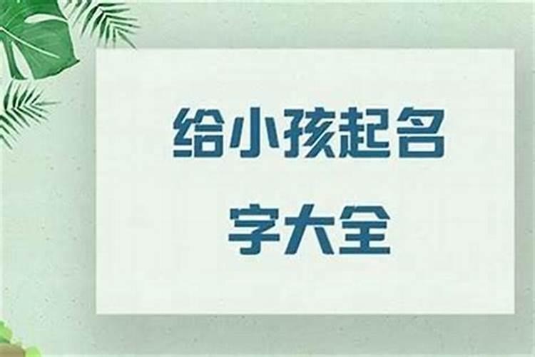 孩子可以起什么名字