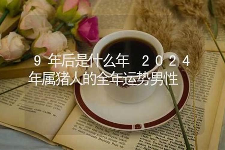 属猪的人2021年的运势及运程男