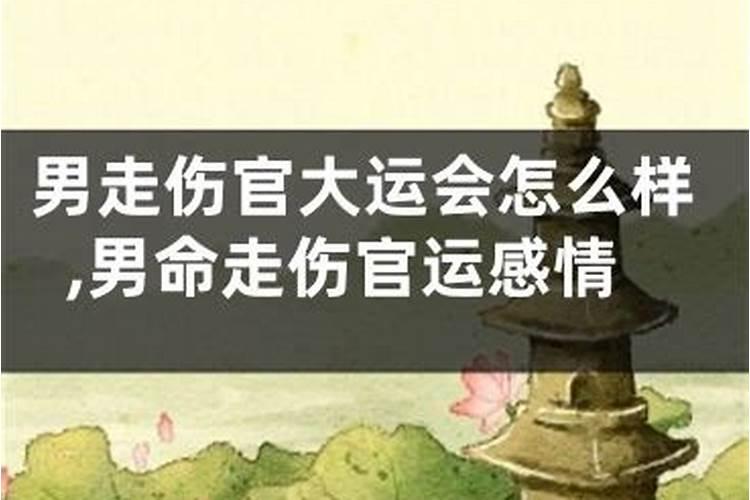 男命走伤官运会怎么样