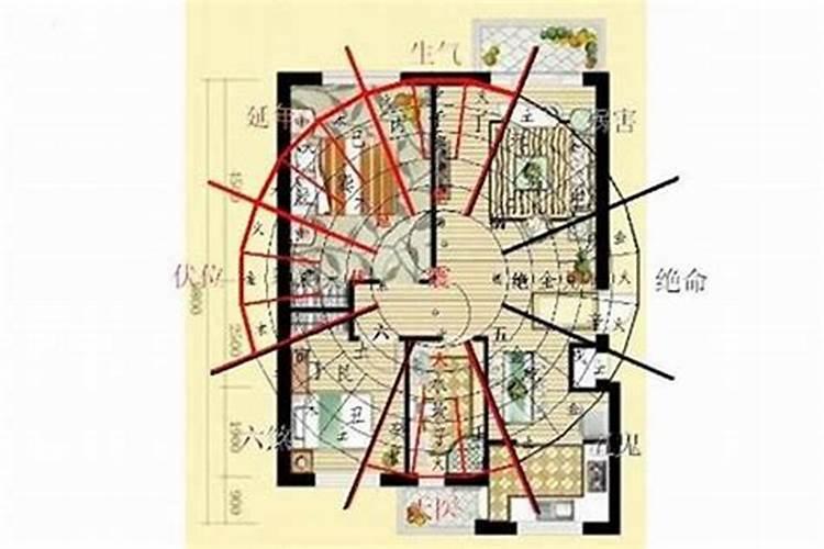 梦见很多蜜蜂围攻但没有被咬