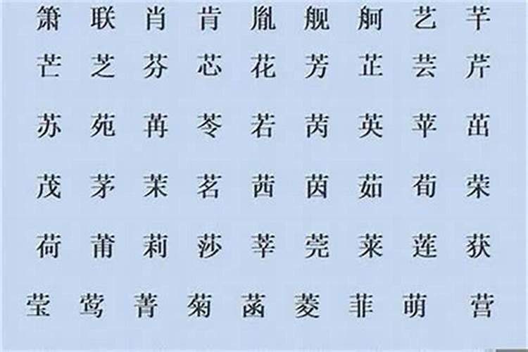 公司取名字典