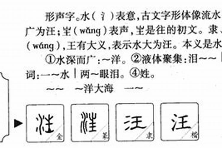 汪字五行属什么水