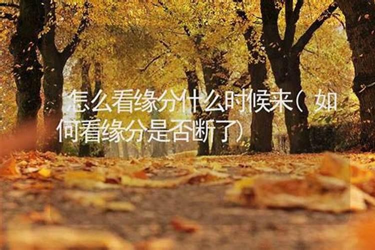 怎么看缘分断没断