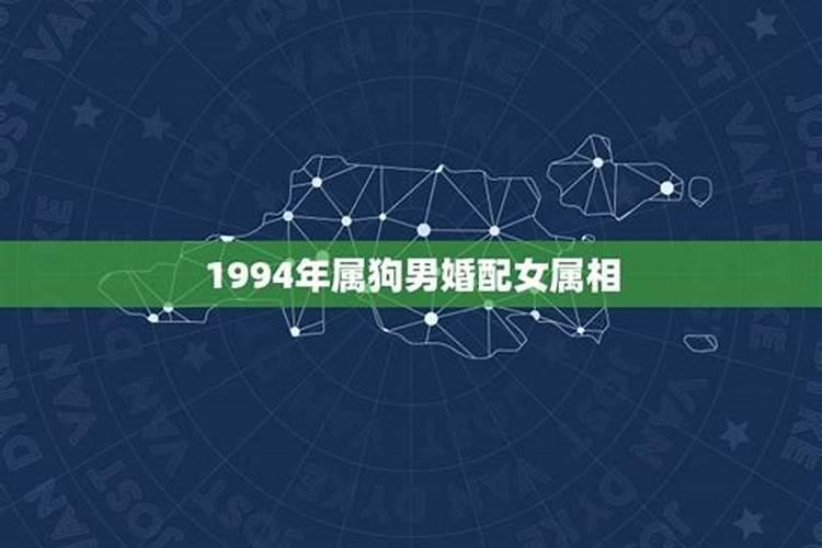 1994年婚配有哪些属相