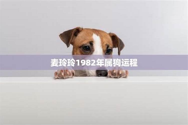 1982年男属狗2023年运势及运程