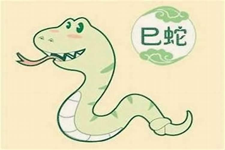 老公属蛇我属狗生什么宝宝好