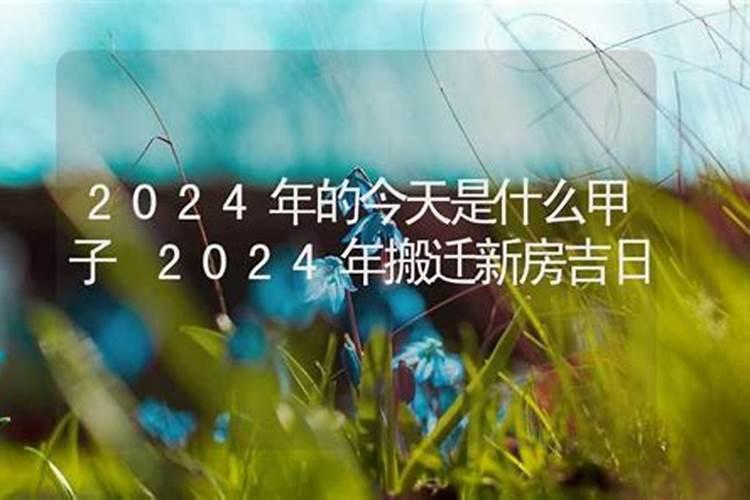 2023年是甲辰年吗