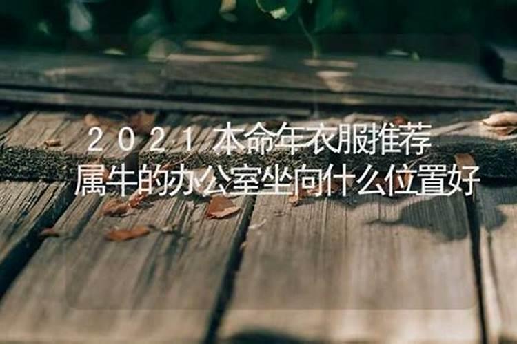 2021年本命年什么生肖运势好