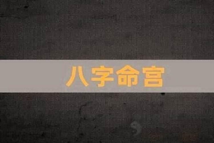 八字里的宫是什么意思