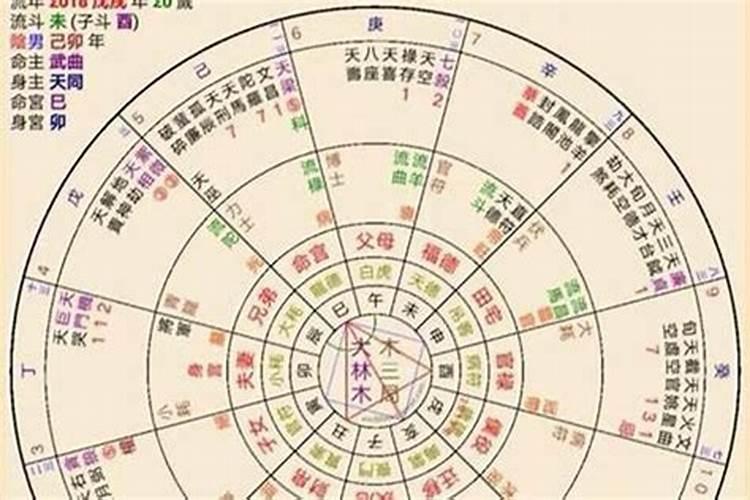 八字紫薇命盘子时用人盘吗