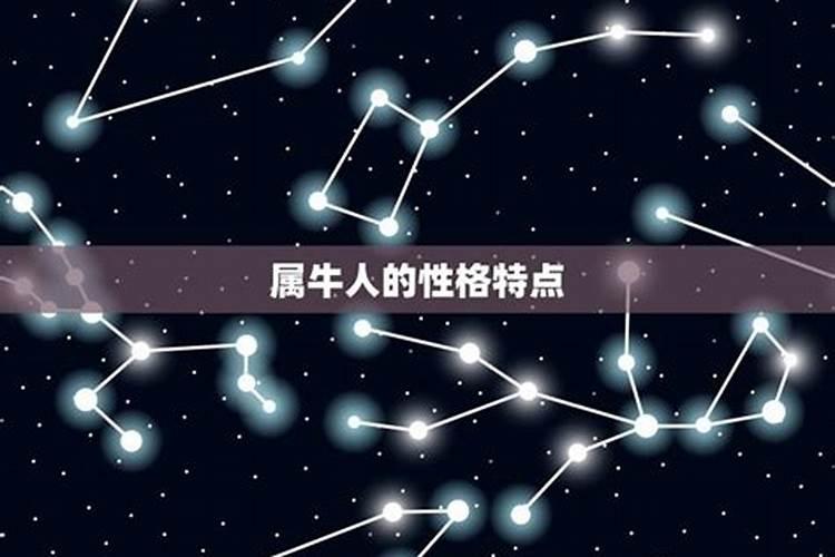 属牛人属于什么星座