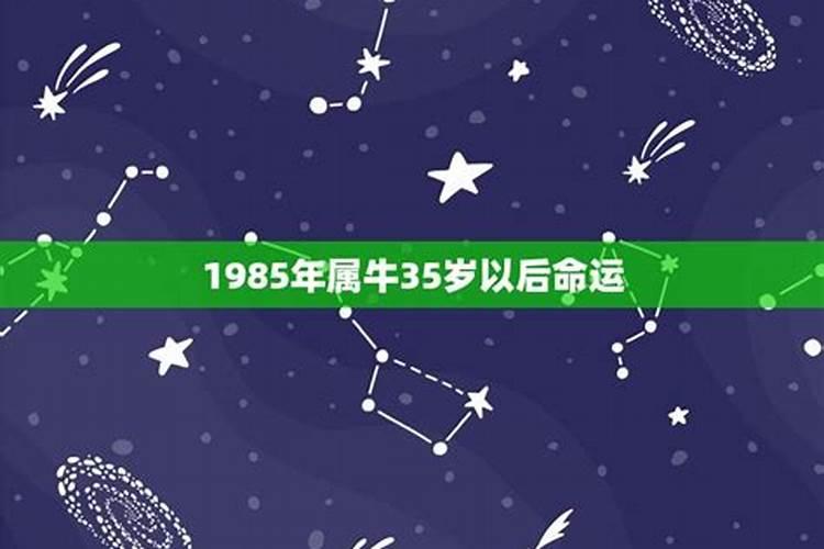 1985属牛35以后大运辛运数字