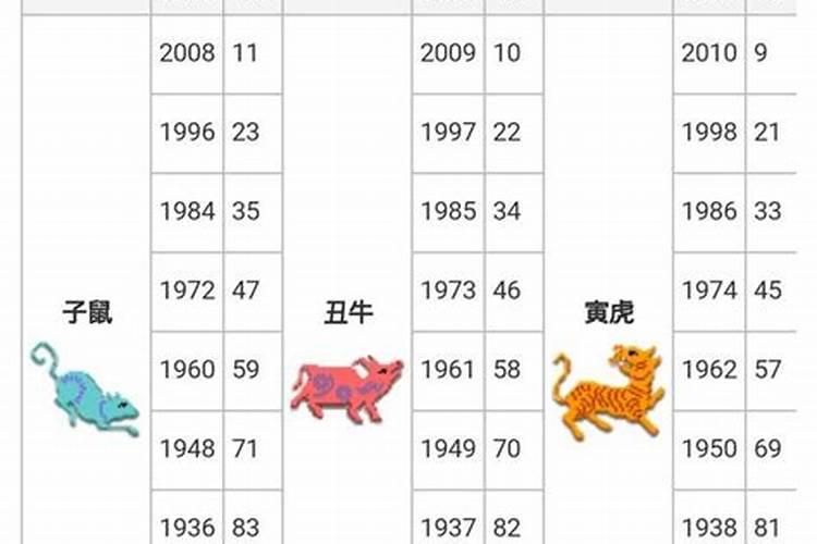 12个生肖年龄表2023不同生肖年龄大全图片