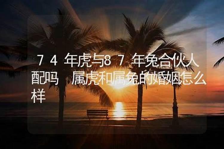 62年虎与63年的兔婚配