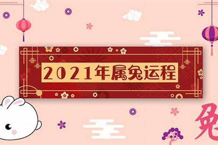 属兔2020年运势豆瓣