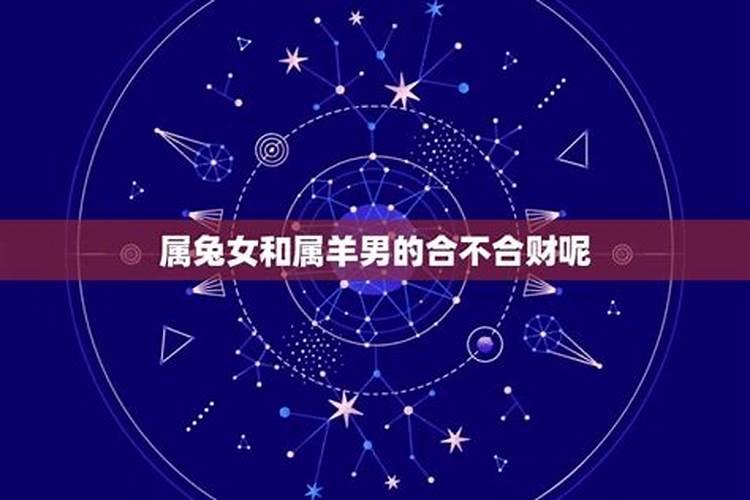 属羊属兔合不合财