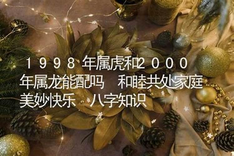 1998年属龙的是什么命男