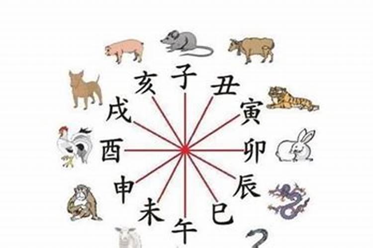 结婚属相犯冲怎么办