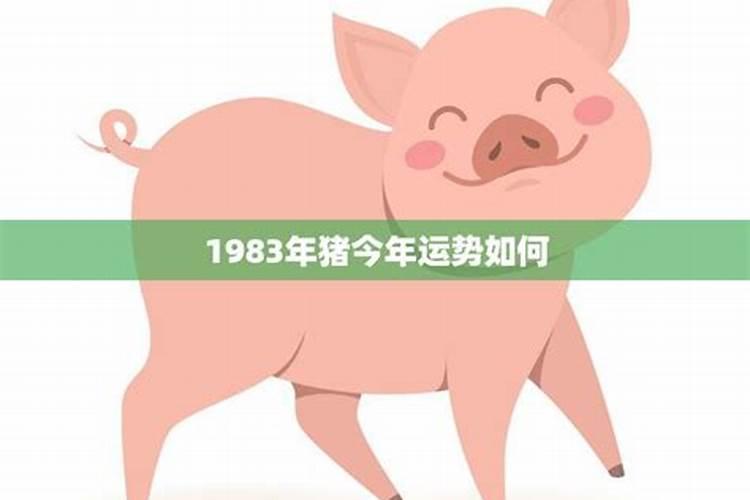 1983年男属猪今年运势如何