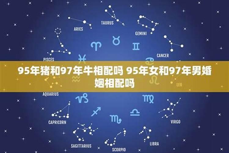 95年猪和97年牛相配婚姻如何，97年属牛和95年属猪配吗