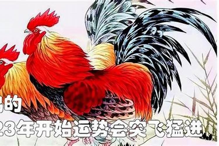 属鸡人2023年天赐吉兆,接福又添喜如何解释