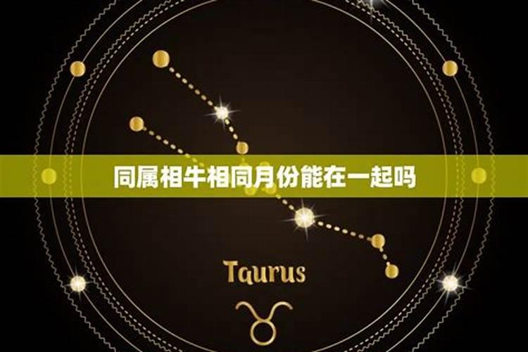 属相和星座可信吗