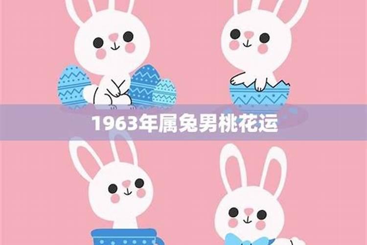 63年属兔的男人是什么样的人