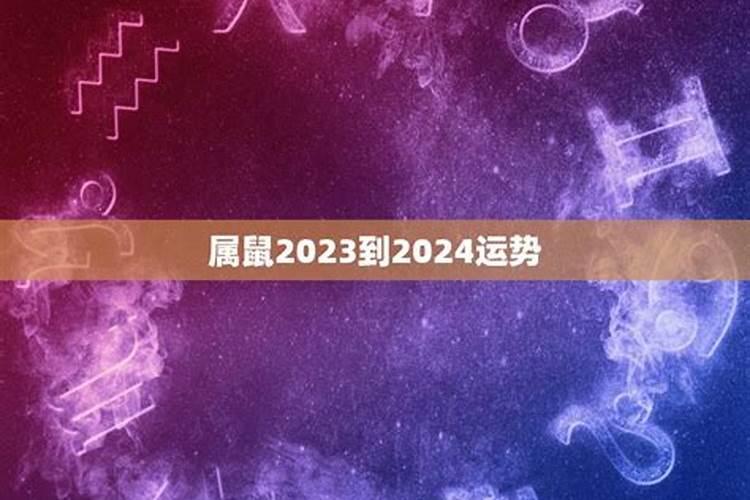 数鼠人2023年运势运程