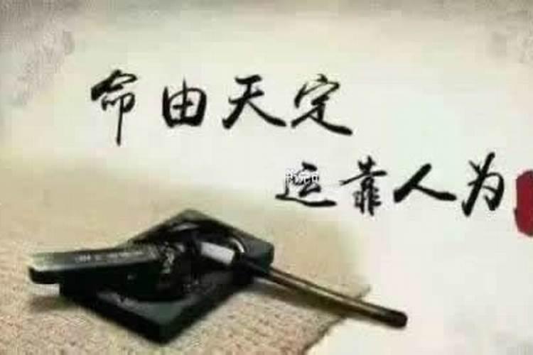 八字排盘金神什么意思