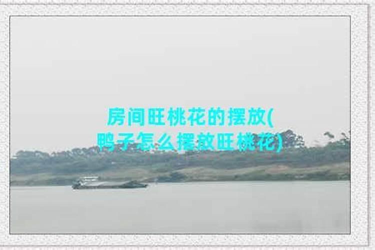 房间旺桃花