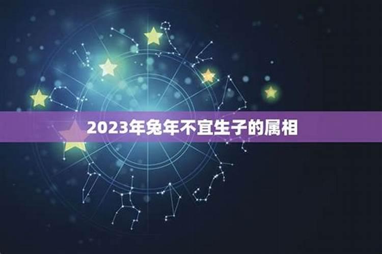 2023年兔年适合生子的属相