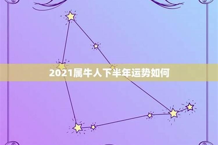 属牛人2021年全年运势男性