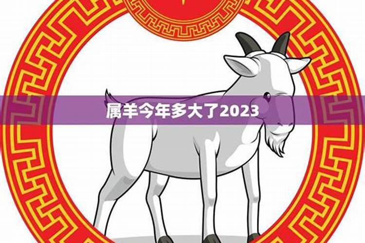 属羊的今年多大了2023年虚岁