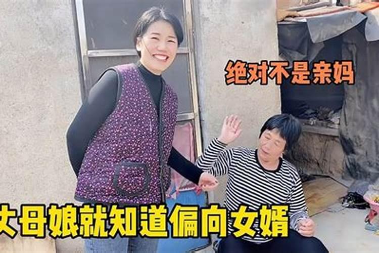 小两口争吵.丈母娘骂女婿视频