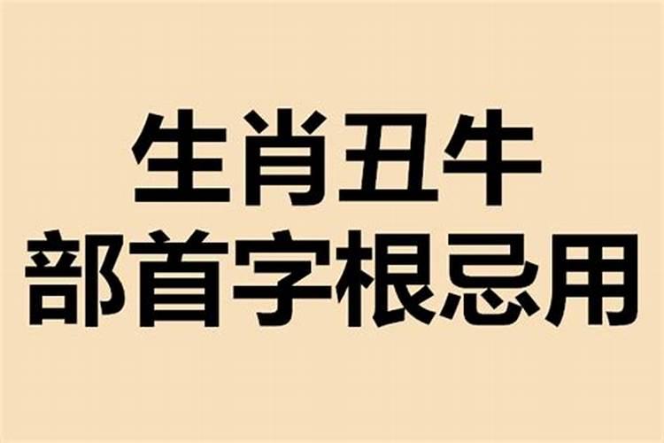 十二生肖起名字带什么部首的好