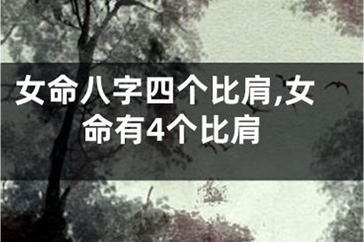 八字有四个比肩的女人怎么样