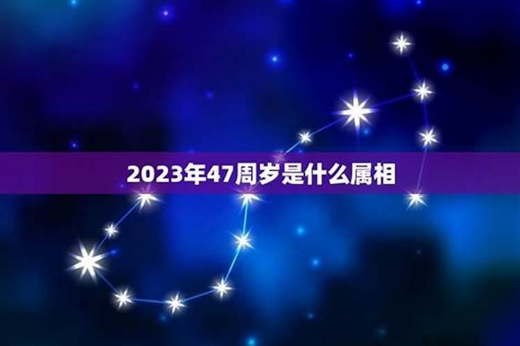 2023年45岁今年属啥