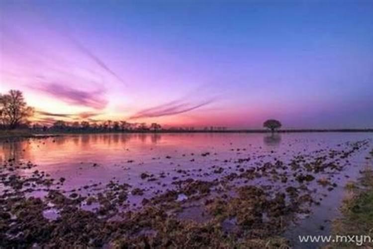 女人梦见流动的浑水是什么预兆