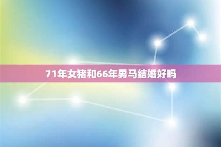 66年2月初九出生的男马能与75年2月29出生女兔做情侣吗？