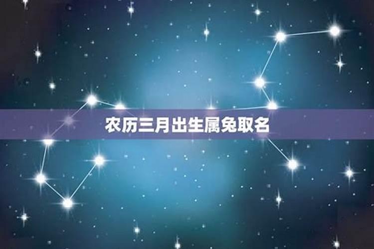 属兔今年农历四月份运程