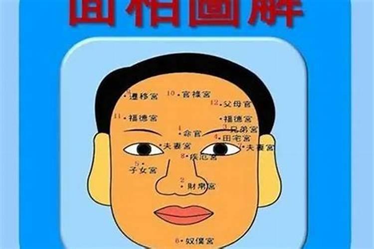 什么样的面相有财气