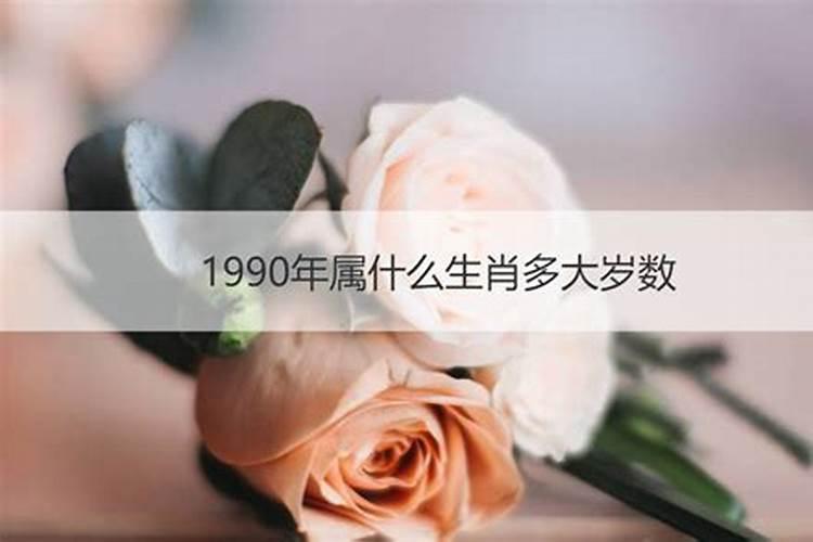 1990年属什么生肖多大了