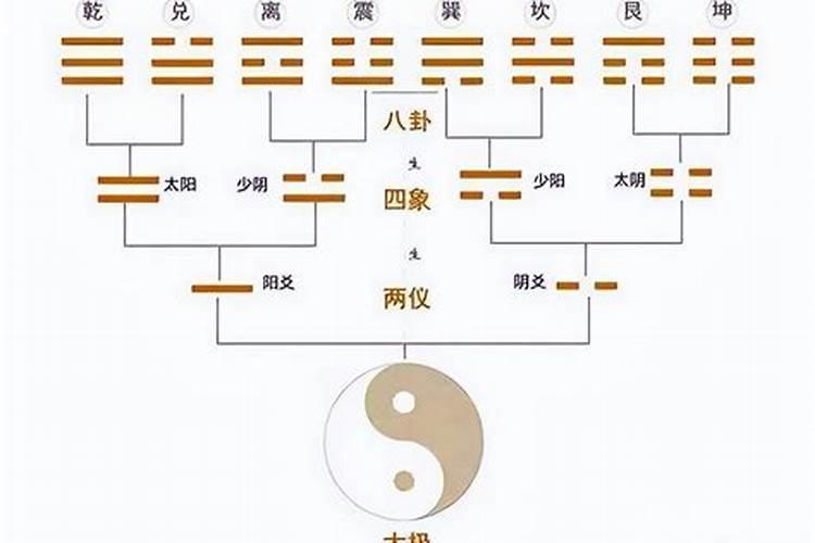 姻缘爻是什么意思