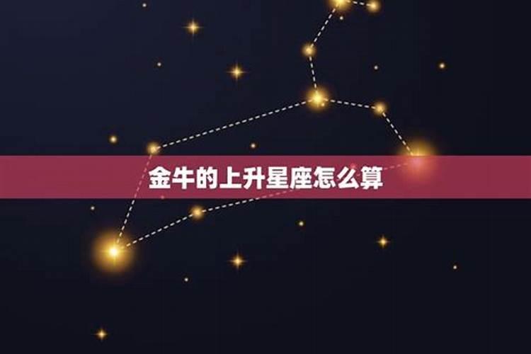 金牛座上升星座是什么