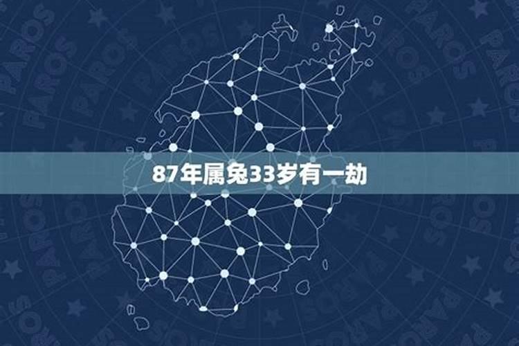 87年兔命运怎么样