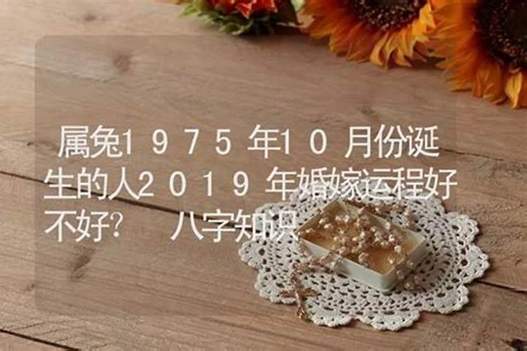 1975年出生的人2013年运程好不好？